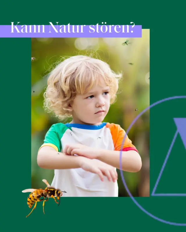 Deine Kinder spielen gerne draußen? Du planst ein Picknick? Insektenstiche und Brennnesseln können unangenehm juckende Spuren hinterlassen. Auch hier kann KAMI SOS Hautpflegeöl helfen!
Pflegt juckende Stellen ganz ohne Chemie und der praktischen Roll On ist in jeder Hosentasche mit dabei!
#insektenstiche #kamihilft 
#kinderspielendraussen